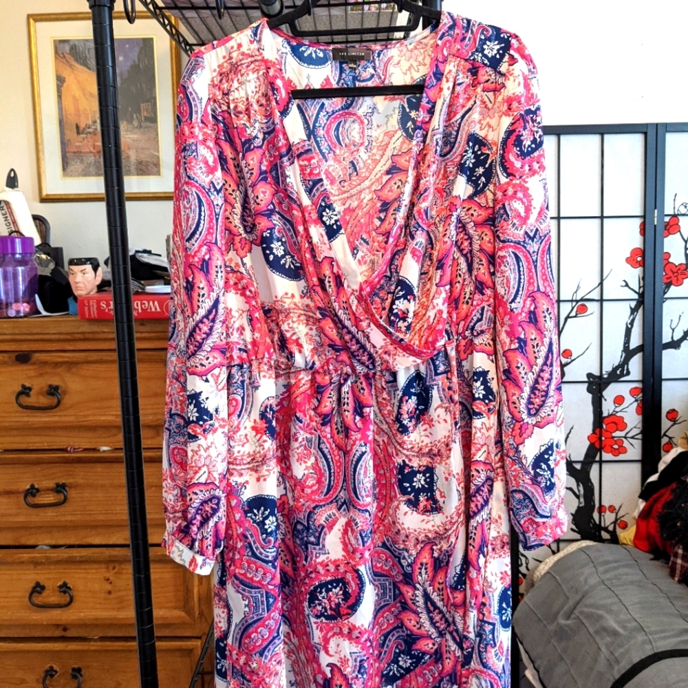The Limited Long Sleeve Dress